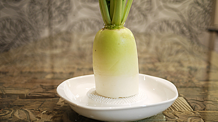 肉食,ダイエット