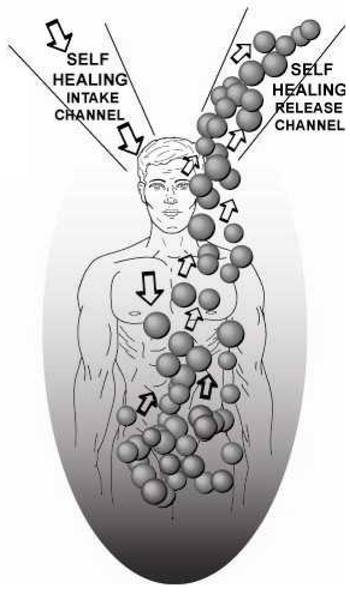 クレッグ氏セミナー資料