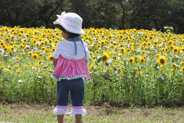 キラキラネーム