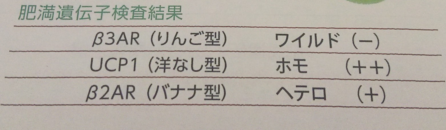 遺伝子検査,ダイエット