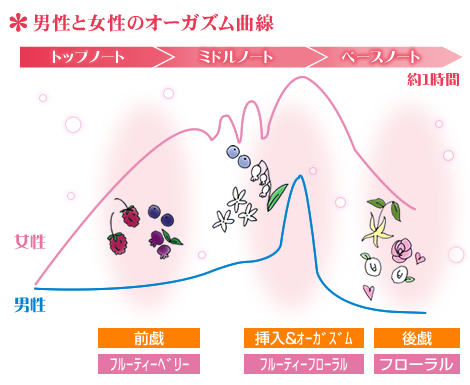 男性と女性のオーガズム曲線