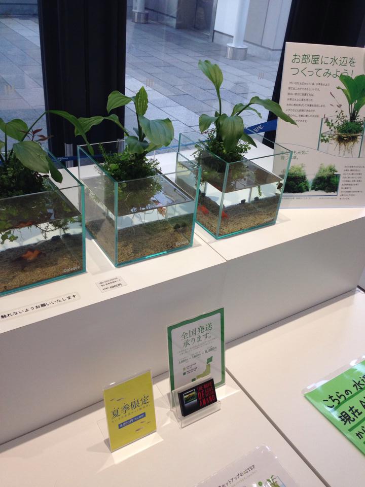 小さな水辺セット（1）