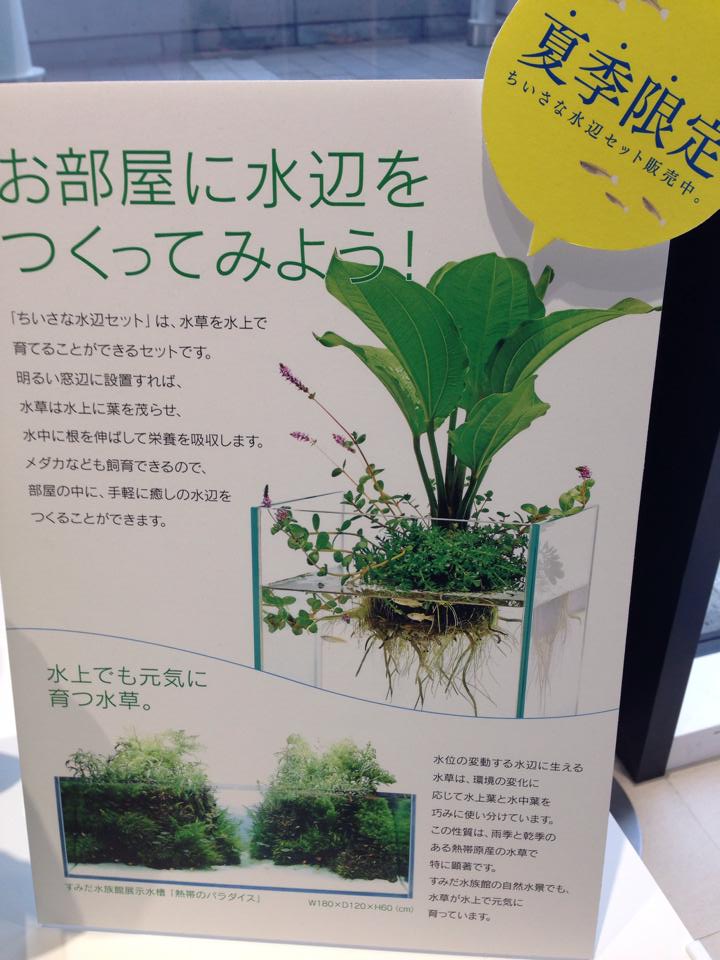 小さな水辺セット（2）