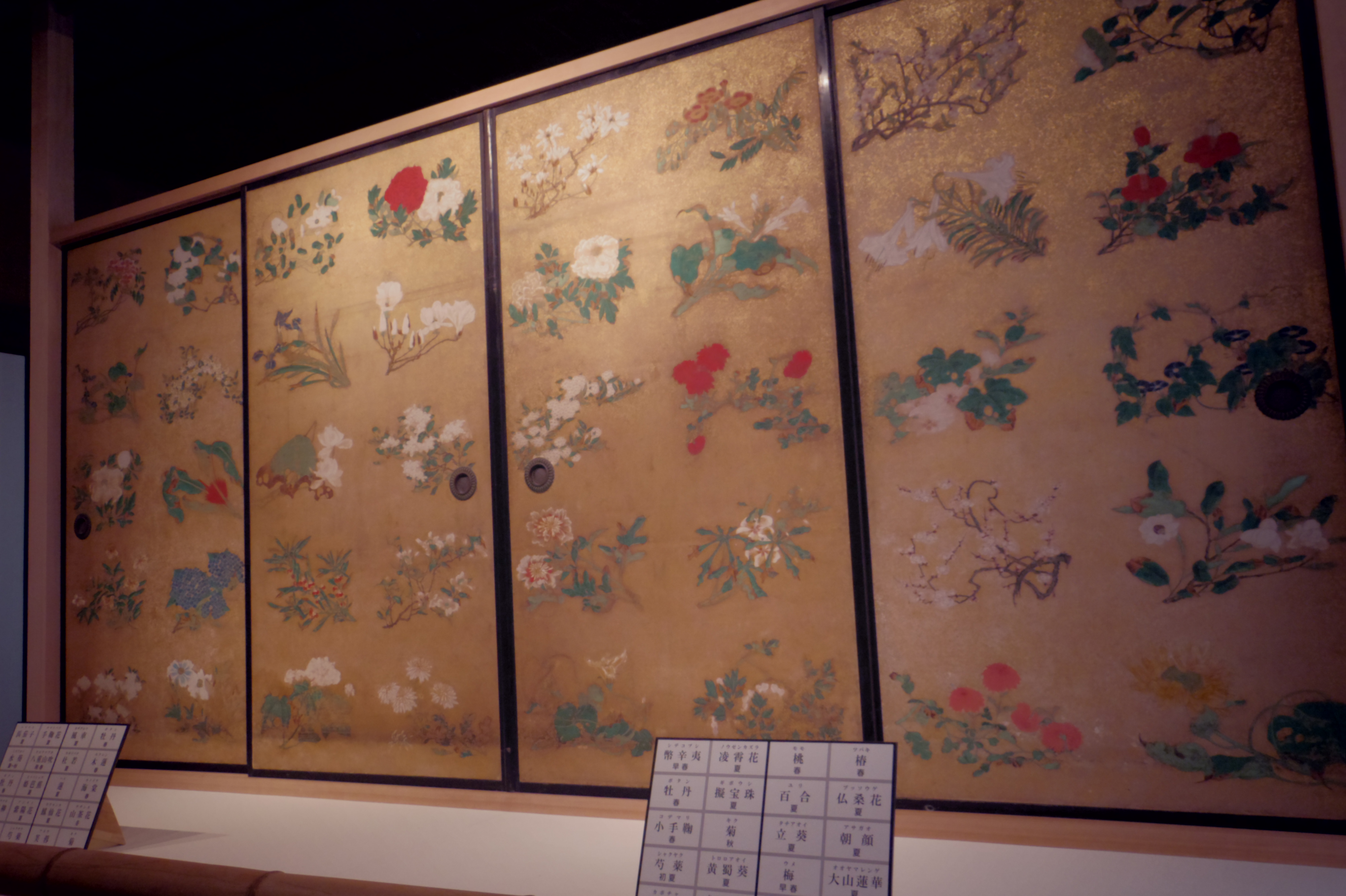 伊藤若冲作「花丸図」