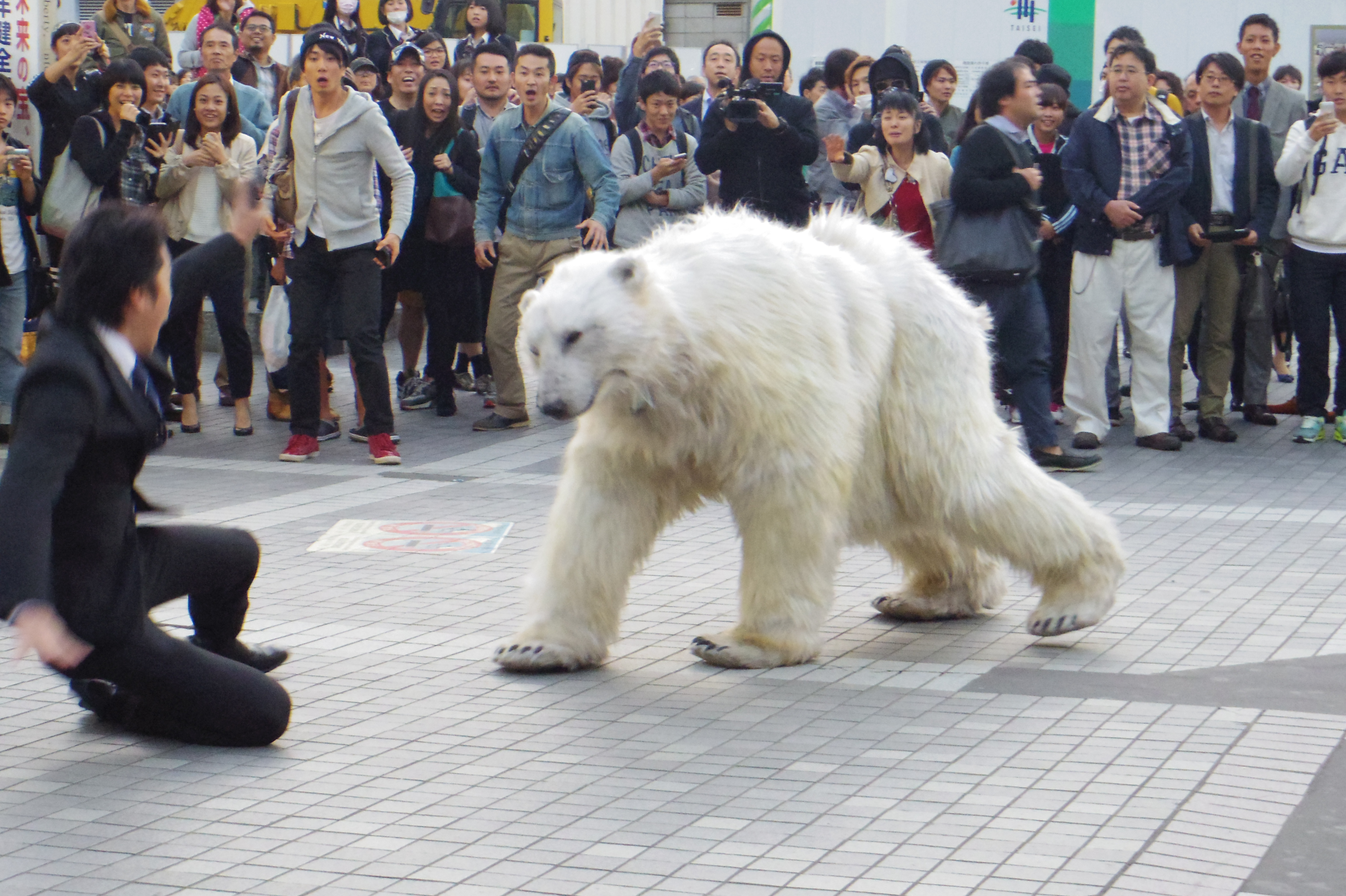 シロクマの出現に腰を抜かすサラリーマン