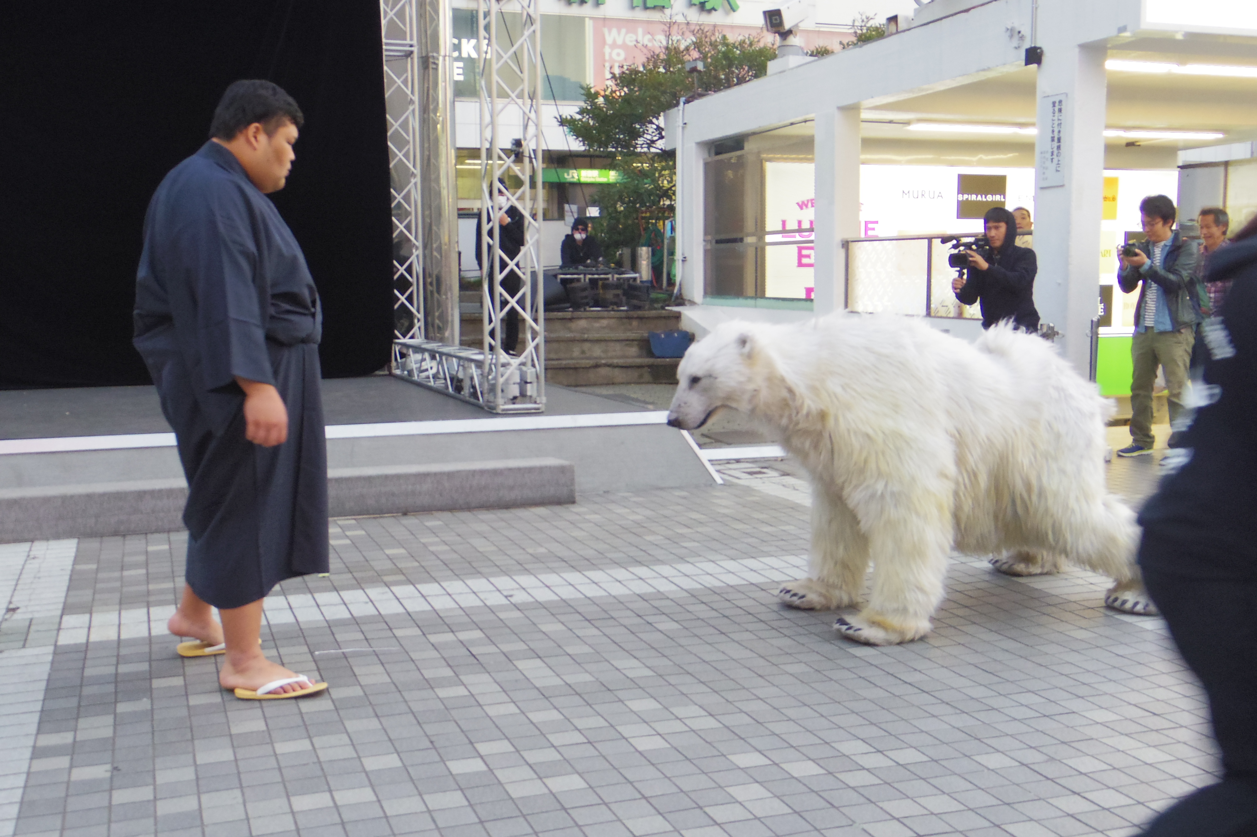 シロクマと力士（1）