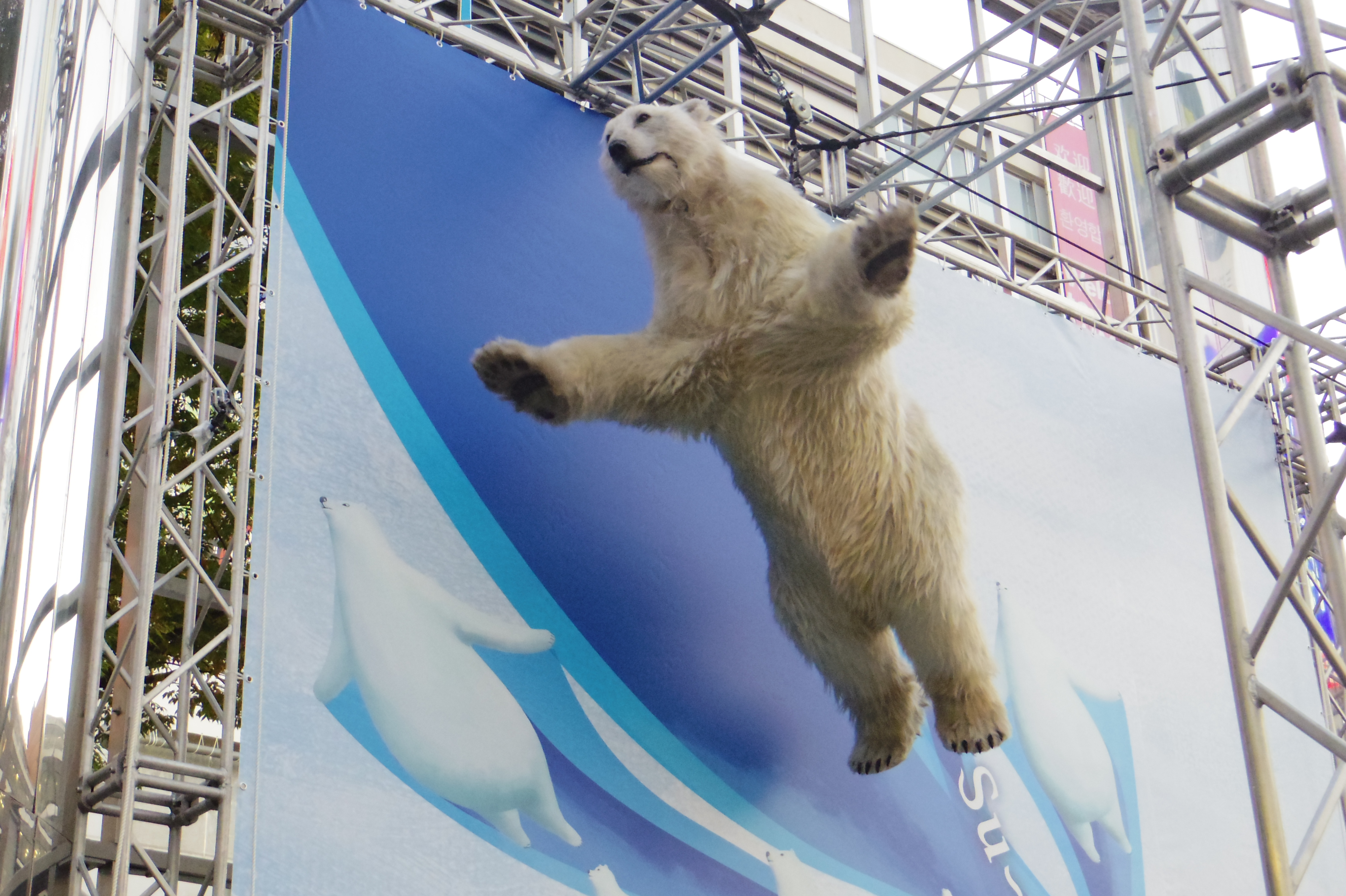 宙に浮く白クマ（3）