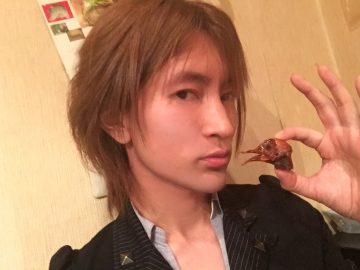 ハトの頭と一緒に