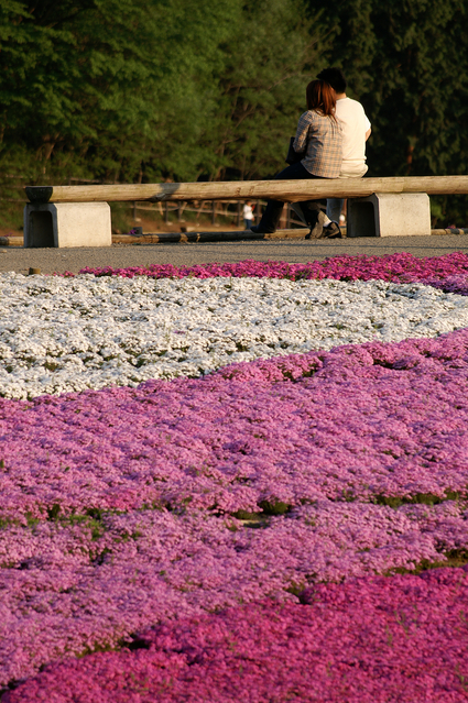 【不倫願望】独身女性16％、既婚女性79％。実際は？