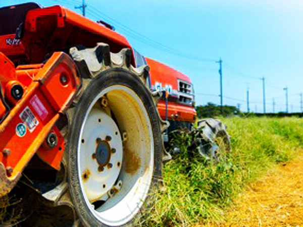 お取り寄せ野菜・果物