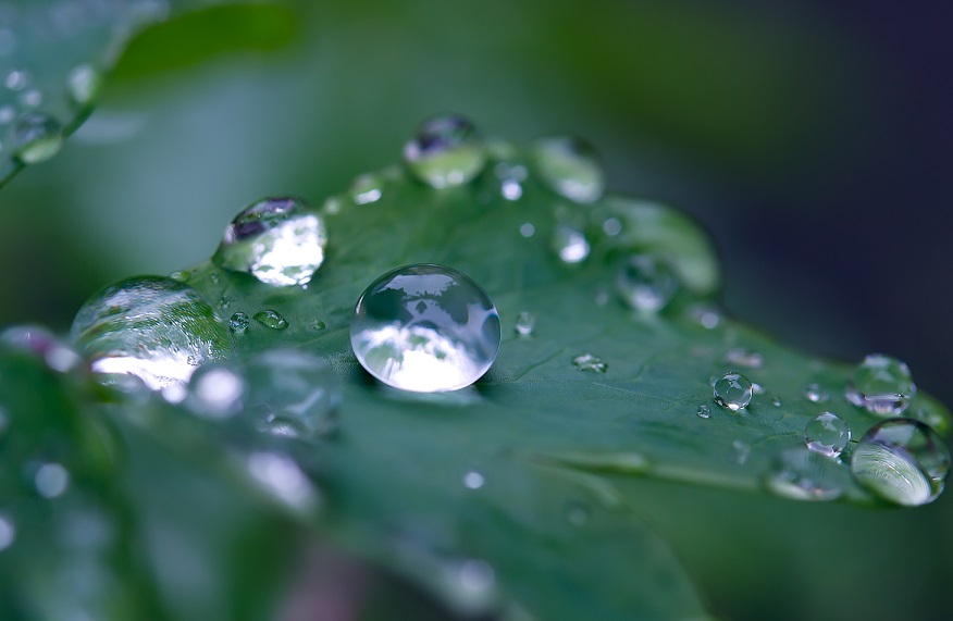 「My First Treasure」