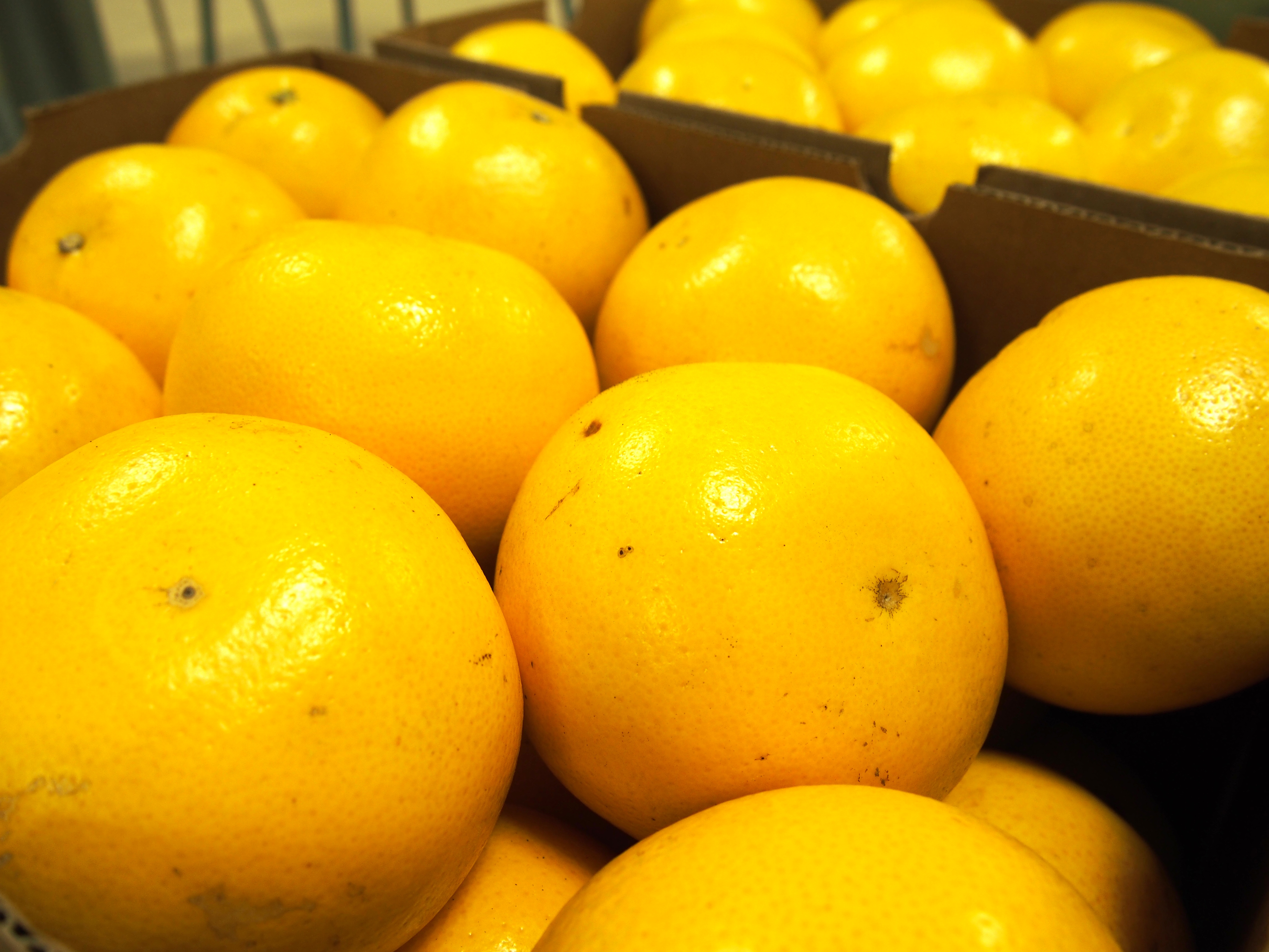 グレープフルーツ