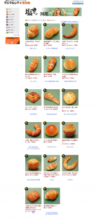 愛媛 塩パン図鑑 デジタルシティえひめ