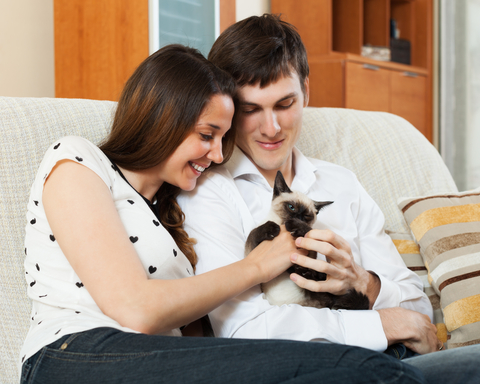 子猫を飼って夫婦の営みがなくなりました