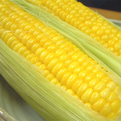 ゴールドラッシュ