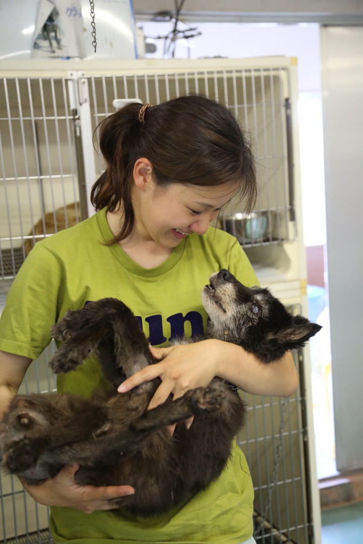 熊本市動物愛護センター