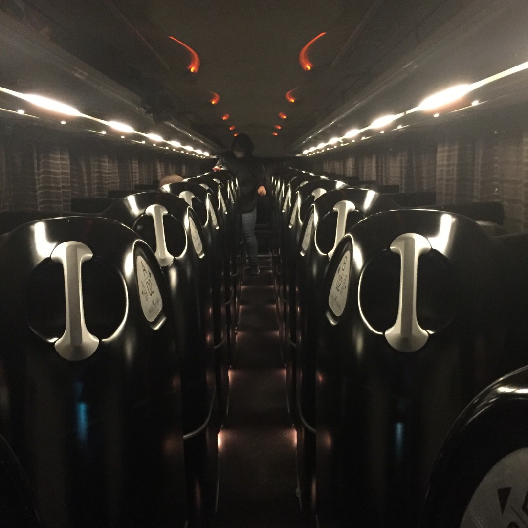 コクーンシート1