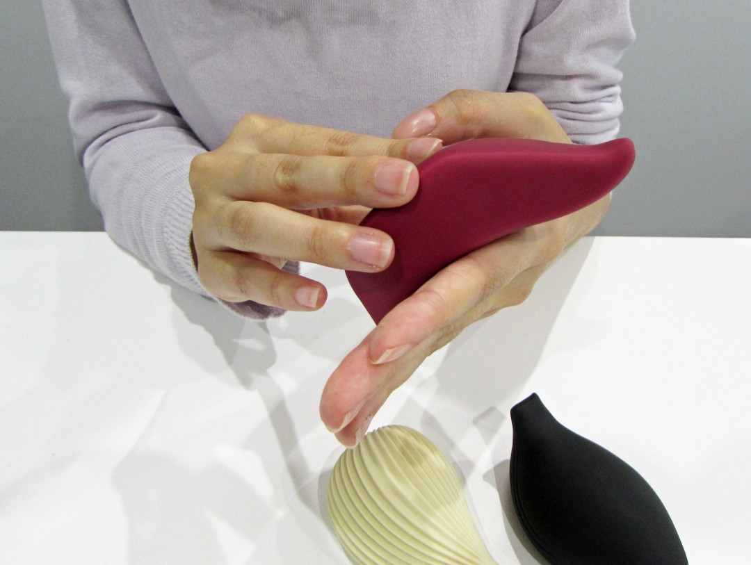 RINGOTORI（りんごとり）