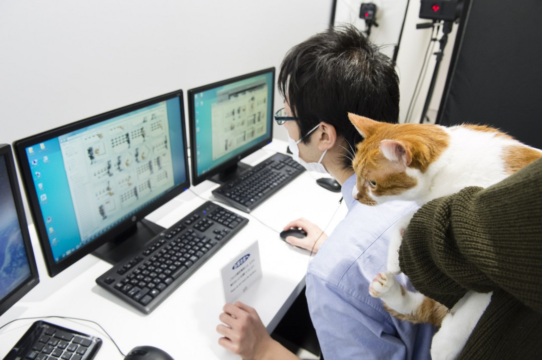 簡易データ確認中