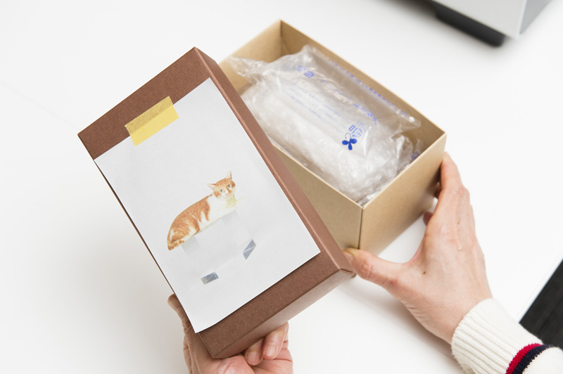 フィギュア到着