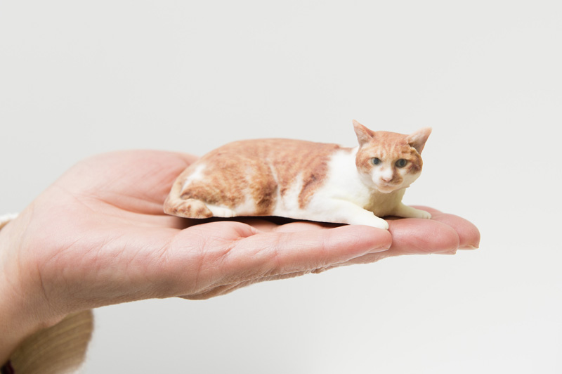 手のひらのむぎ