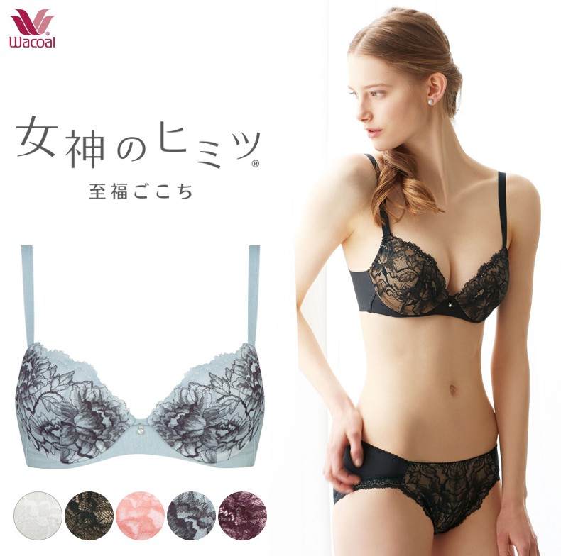 女神のヒミツ ヴィーナスフィットブラ