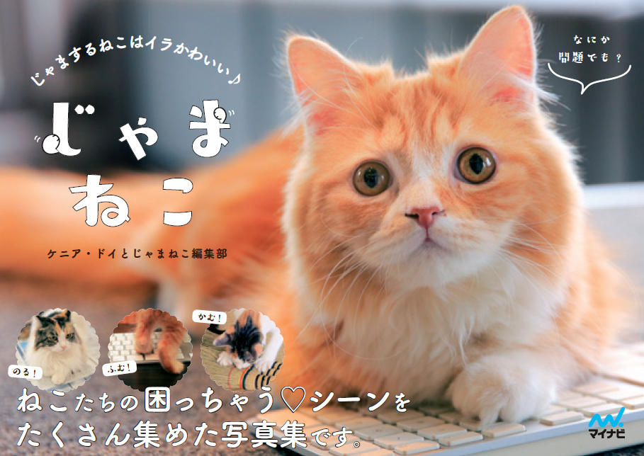 『じゃまねこ じゃまするねこはイラかわいい♪』