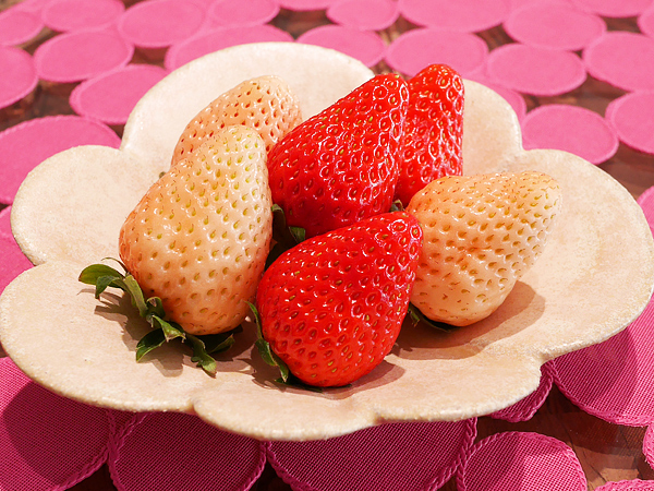 イチゴ（大粒3～5個：90μg）