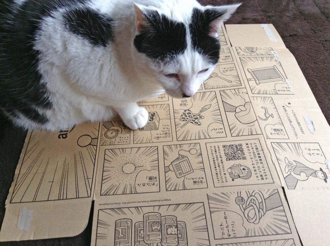 ドラえもんボックス6