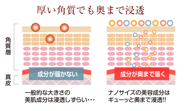 肌の奥まで浸透