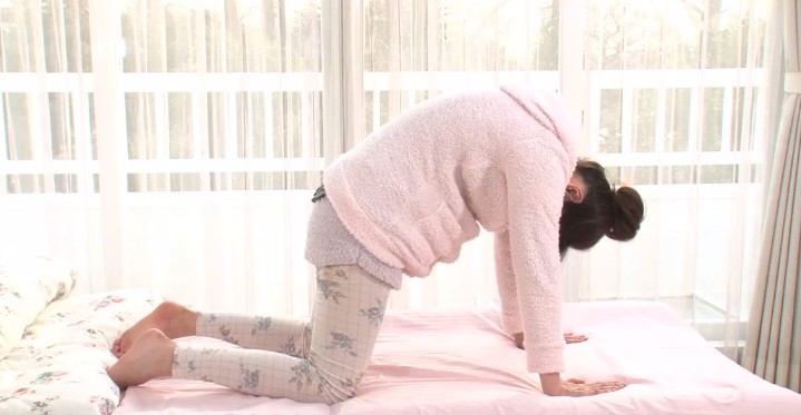 キャット＆ドック2