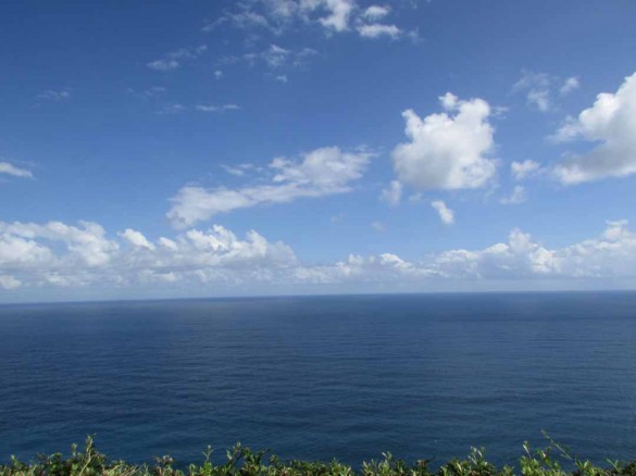 施術ルームからの眺め