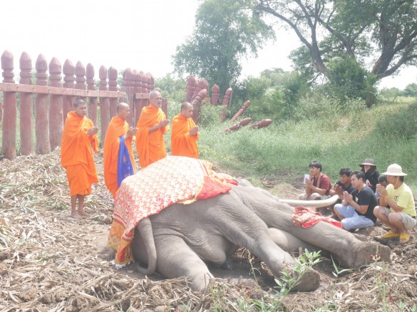 象さんのお葬式 象さんのお葬式