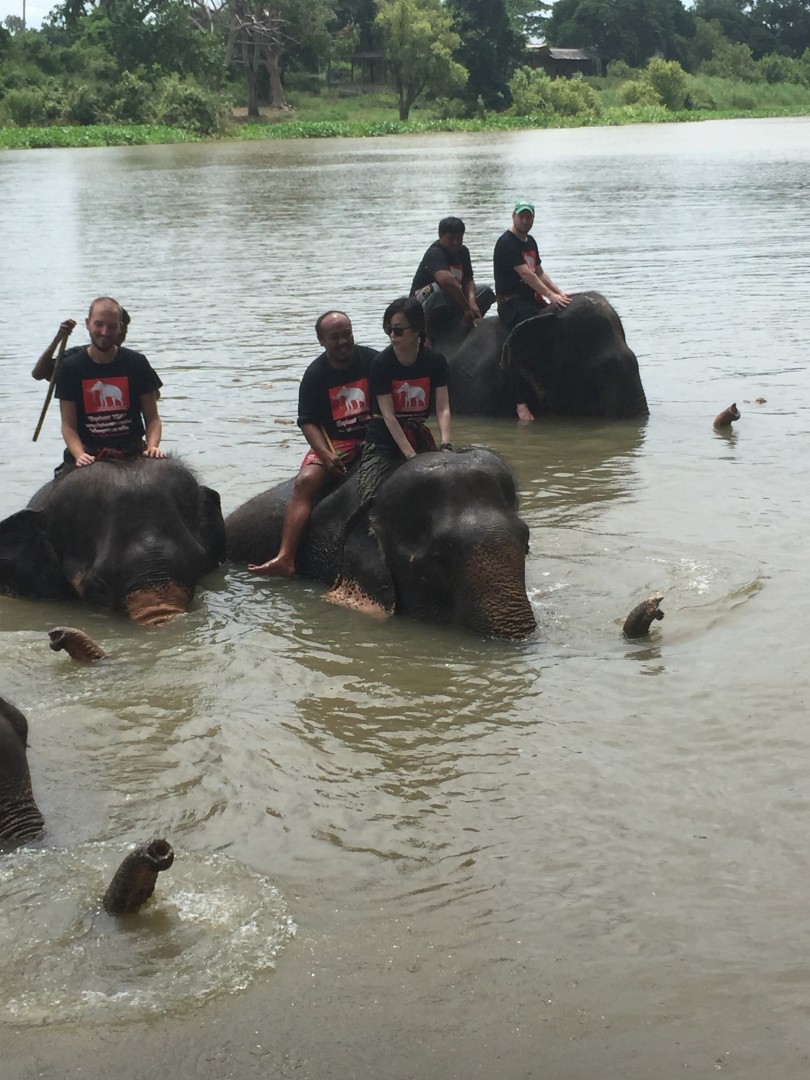 エレファントステイ7