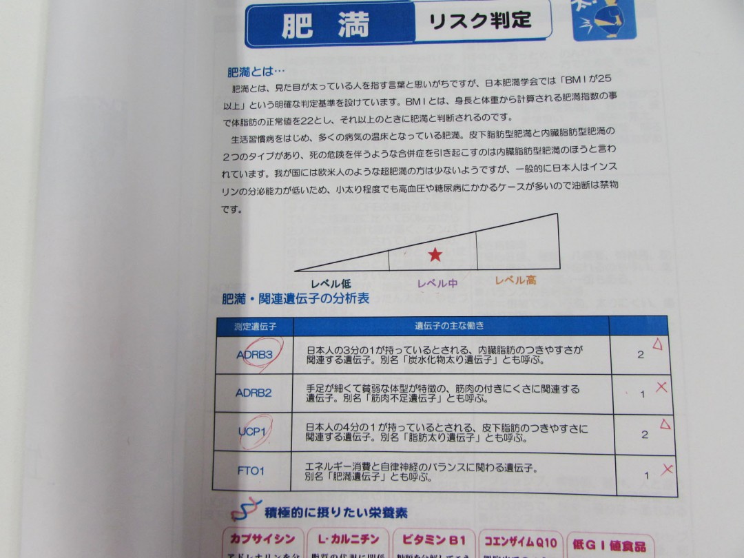 肥満リスク判定