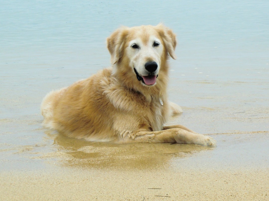 ケフィ　宮古島