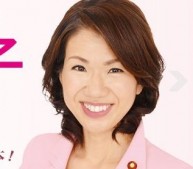 豊田真由子議員 豊田真由子議員