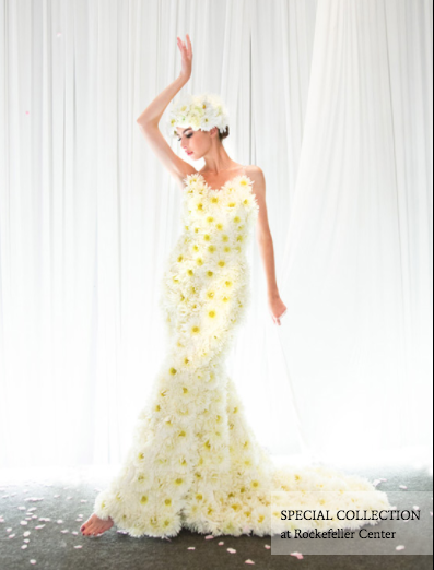 ロックフェラー財団