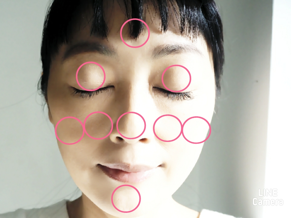 細かくのせます