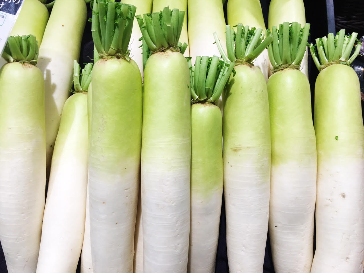 大根