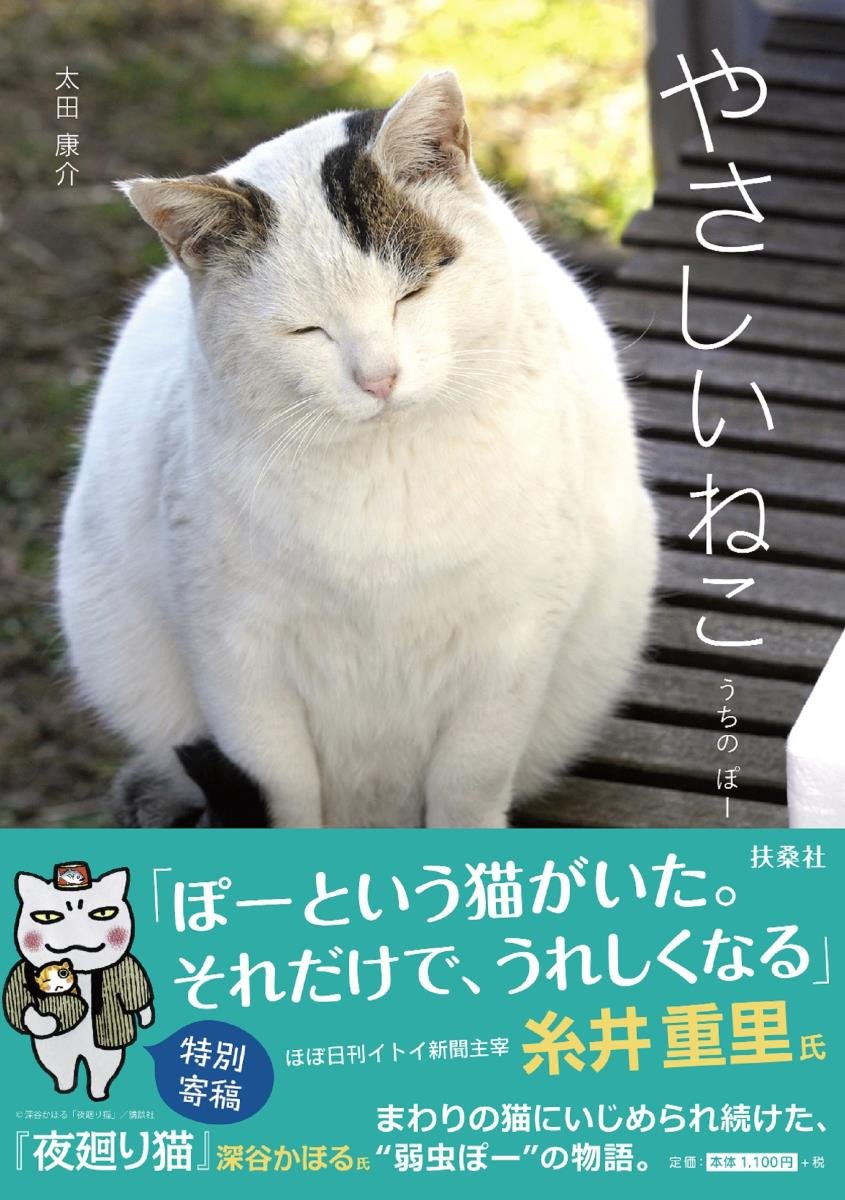 やさしいねこ