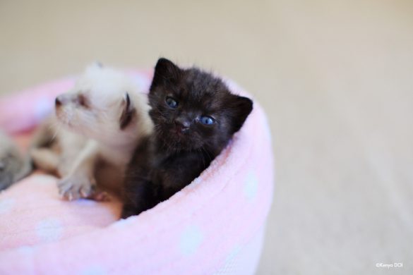 出会えてよかったね 出会えてよかったね