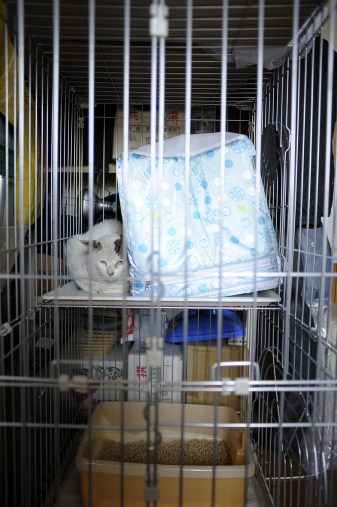 ごめんよ、ぽー ごめんよ、ぽー