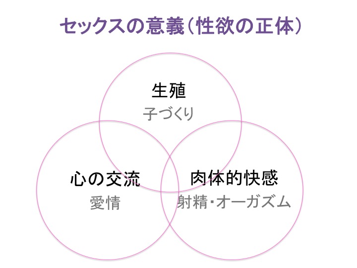 セックスの意義