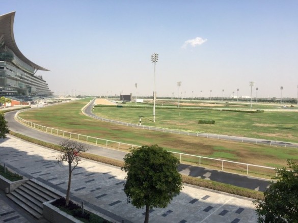 メイダン競馬場