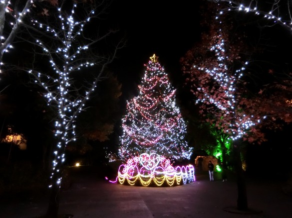 クリスマスツリー