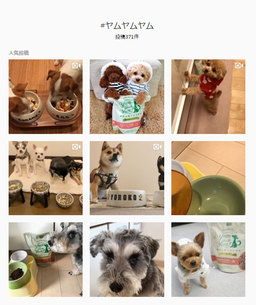 instagram投稿画像