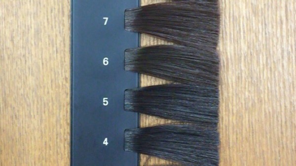 カラースケール　髪の明るさ　4～7レベル