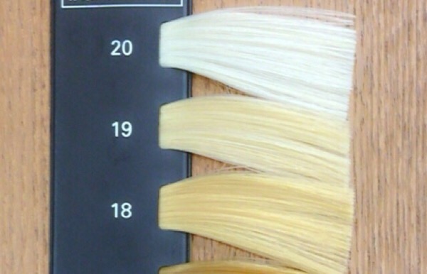 カラースケール　髪の明るさ　18～20レベル