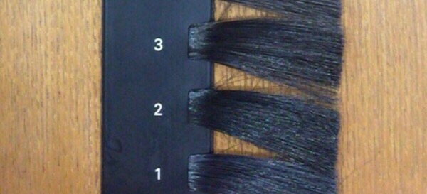 カラースケール　髪の明るさ　1～3レベル